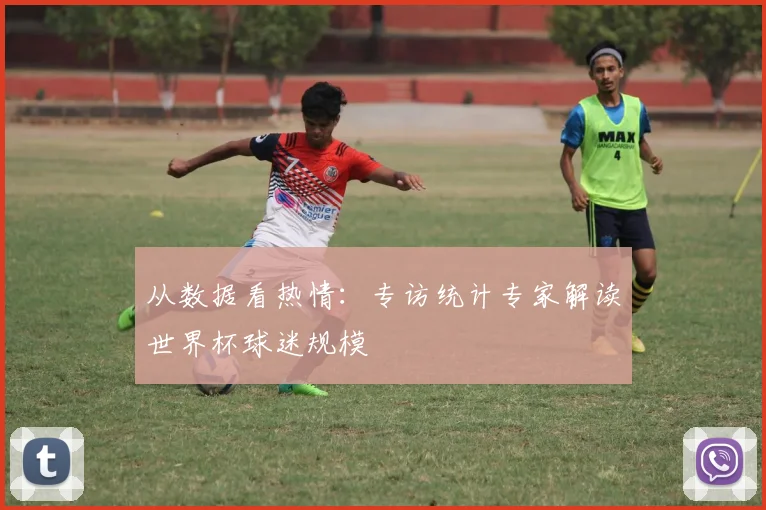 从数据看热情:专访统计专家解读世界杯球迷规模