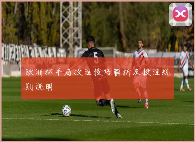 欧洲杯平局投注技巧解析及投注规则说明
