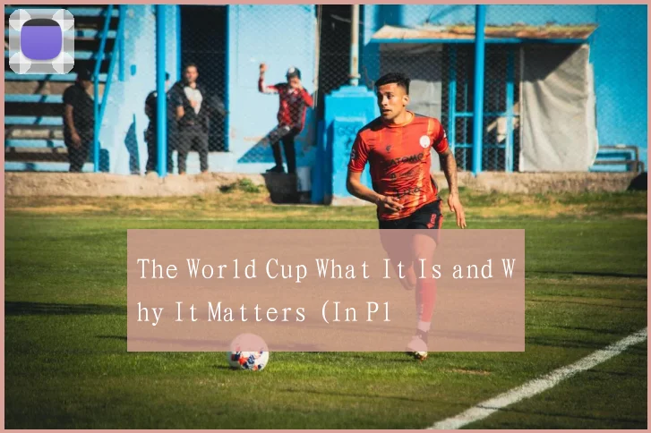 The World Cup What It Is and Why It Matters (In Pl