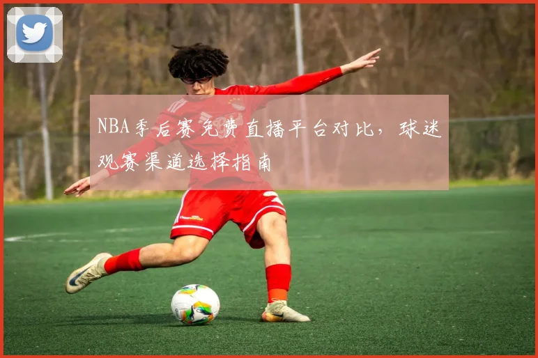 NBA季后赛免费直播平台对比,球迷观赛渠道选择指南