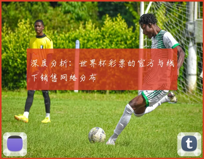 深度分析:世界杯彩票的官方与线下销售网络分布
