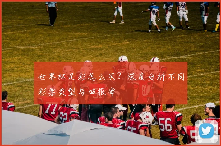 世界杯足彩怎么买?深度分析不同彩票类型与回报率