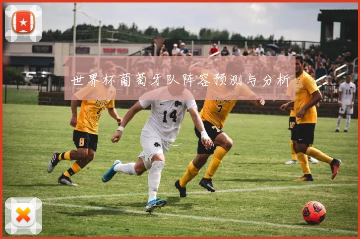 世界杯葡萄牙队阵容预测与分析
