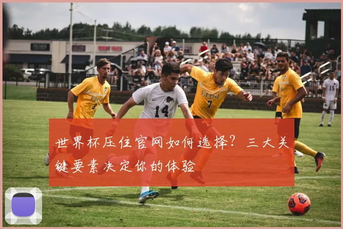 世界杯压住官网如何选择?三大关键要素决定你的体验